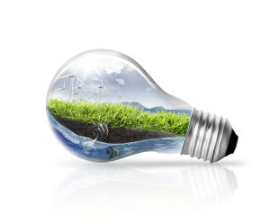 Organic energy?